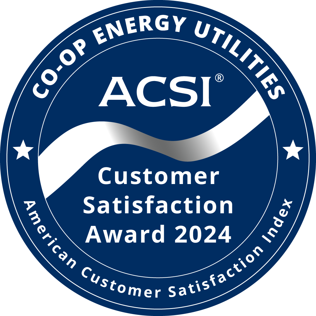 2024 ACSI Badge